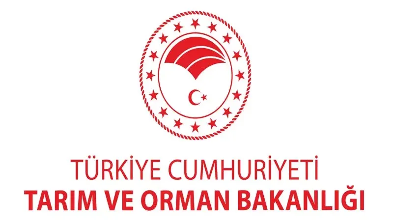 Gıda Denetimlerinde Skandal: Etlerde Domuz, At ve Eşek Eti Tespit Edildi