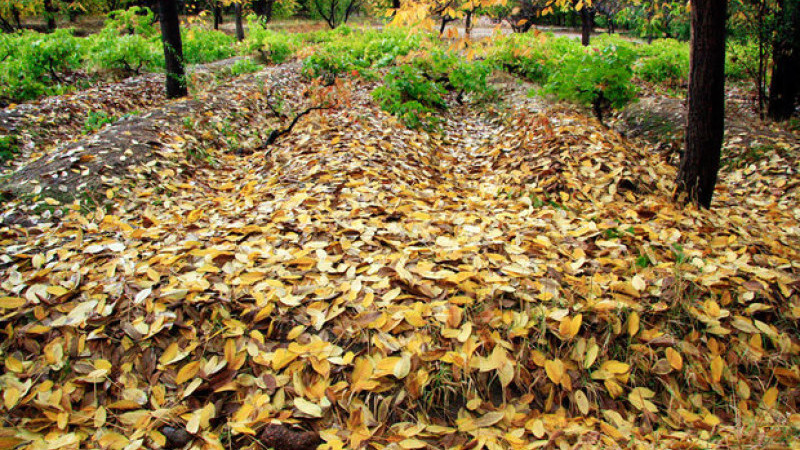 İran’da Sonbahar 58 Yılın En Kurak Dönemi Oldu