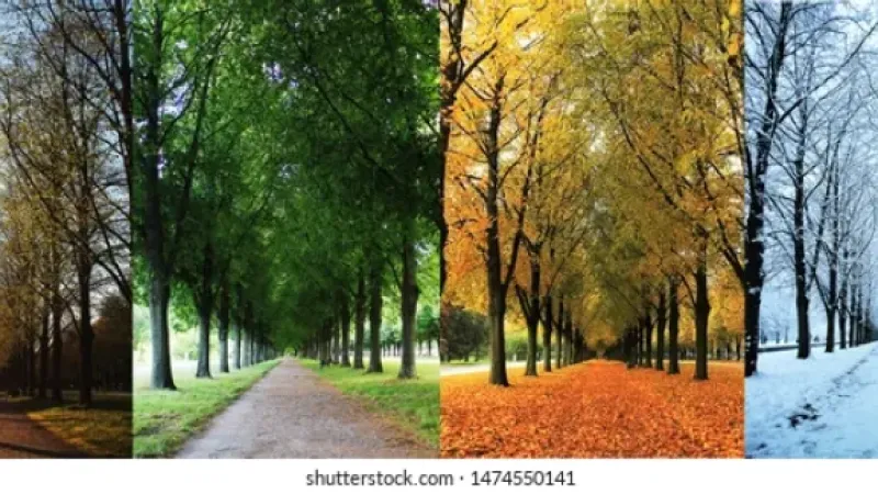 Mevsim Geçişlerinde Solunum Yolu Enfeksiyonları Artıyor: Uzmanlardan Uyarı