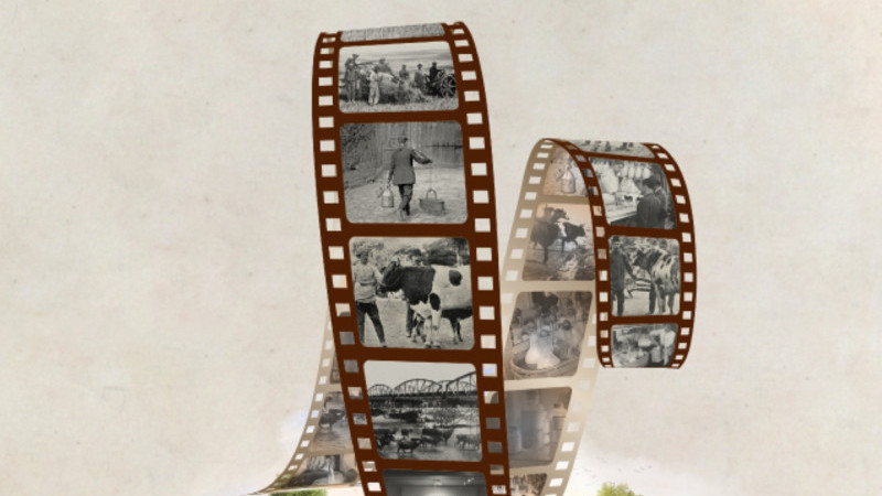 50. yılını kutlayan Sütaş’tan Cumhuriyet Dönemi Sütçülüğüne Bakış Belgeseli