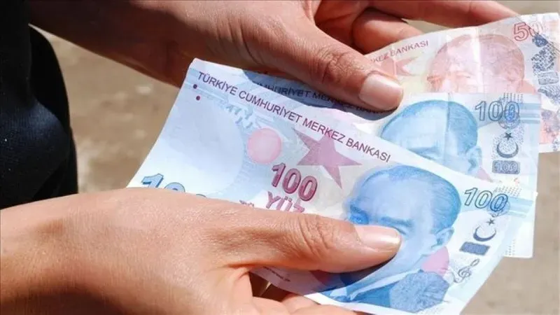 Ocak Ayı SED Ödemeleri Hesaplara Yatırıldı: Toplam 1,76 Milyar Lira Destek
