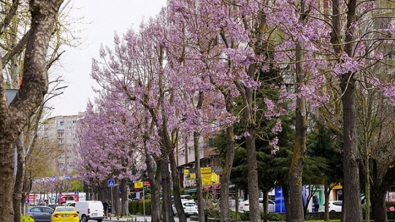 BEYLİKDÜZÜ’NDE BAHAR MESAİSİ BAŞLADI