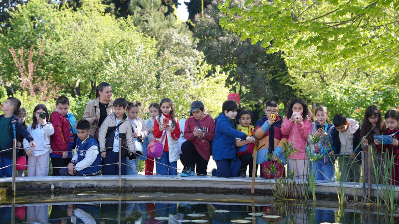 Uluslararası Gönüllülerden Zeytinburnu Tıbbi Bitkiler Bahçesinde Renkli Atölye Çalışmaları