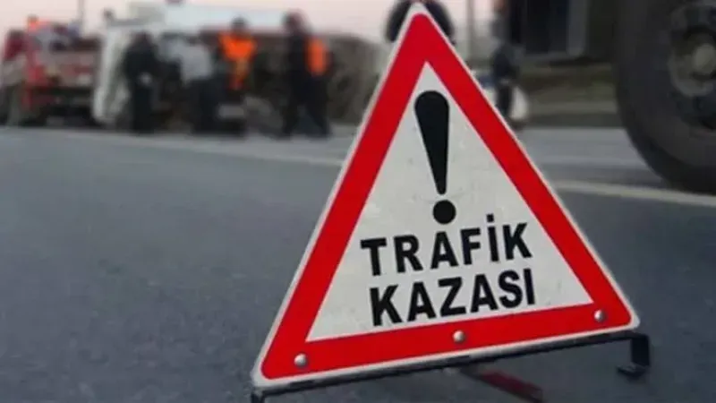Aydın'da kamyonet devrildi: 2 kişi yaşamını yitirdi