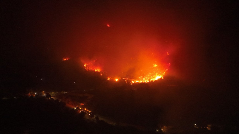 Beykoz’da İşaret Fişeğiyle Orman Yangını Çıkaran Şahıs Tutuklandı