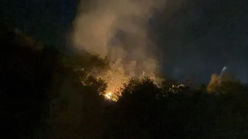 Beykoz’da Orman Yangını: İşaret Fişeğiyle Çıkan Yangında Bir Şüpheli Gözaltında