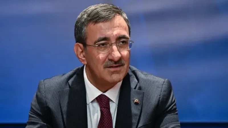 Cumhurbaşkanı Yardımcısı Yılmaz: Elim Kaza Tüm Yönleriyle İncelenecek