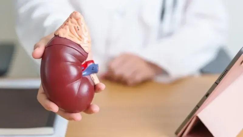 Dünya Böbrek Günü: Kronik böbrek hastalığı 850 milyon kişiyi etkiliyor