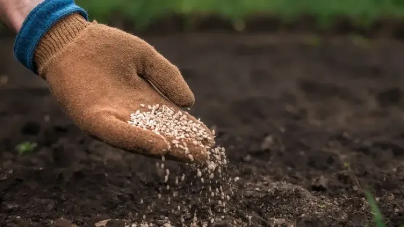 DMM’den “gübre krizi” iddialarına yanıt: Gerçeği yansıtmıyor