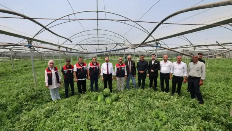 Siirt Tarımında Bir İlk: İlk Turfanda Karpuz Hasadı Yapıldı