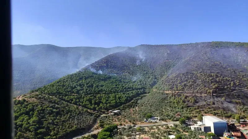 Yalova-Bursa sınırındaki orman yangını kontrol altına alındı