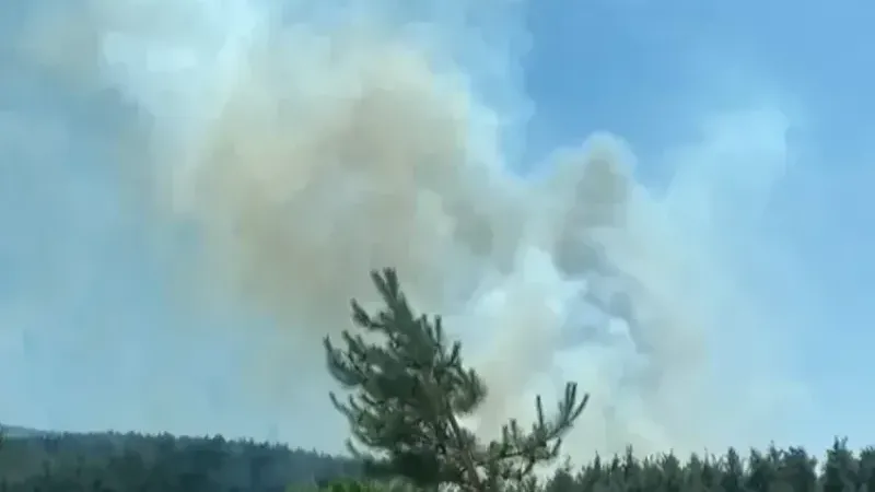 Bursa’da 3 noktada orman yangını